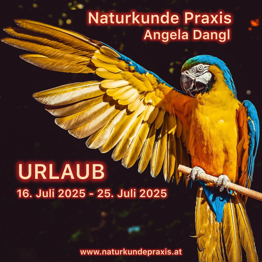 Naturkunde Praxis Angela Dangl Urlaub von 16. Juli 2025 bis 25. Juli 2025